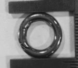 Sela sample No. 17(PO- 11126)