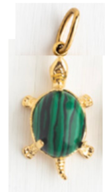 Turtle Charm