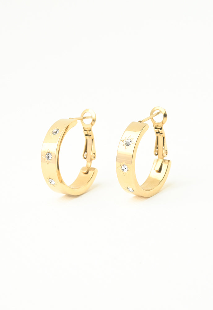 Sun crystal earrings