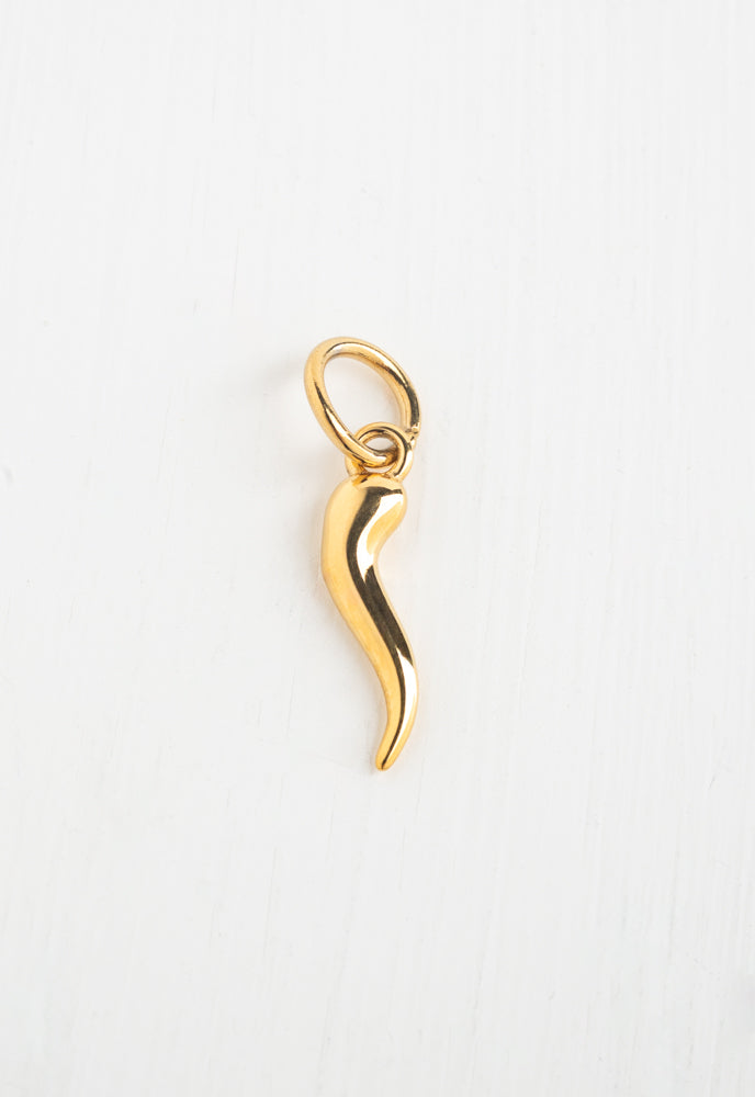 Horn Charm