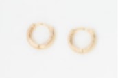 Stainless Steel 15mm Ear Hoops