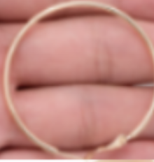 Earring Hoop