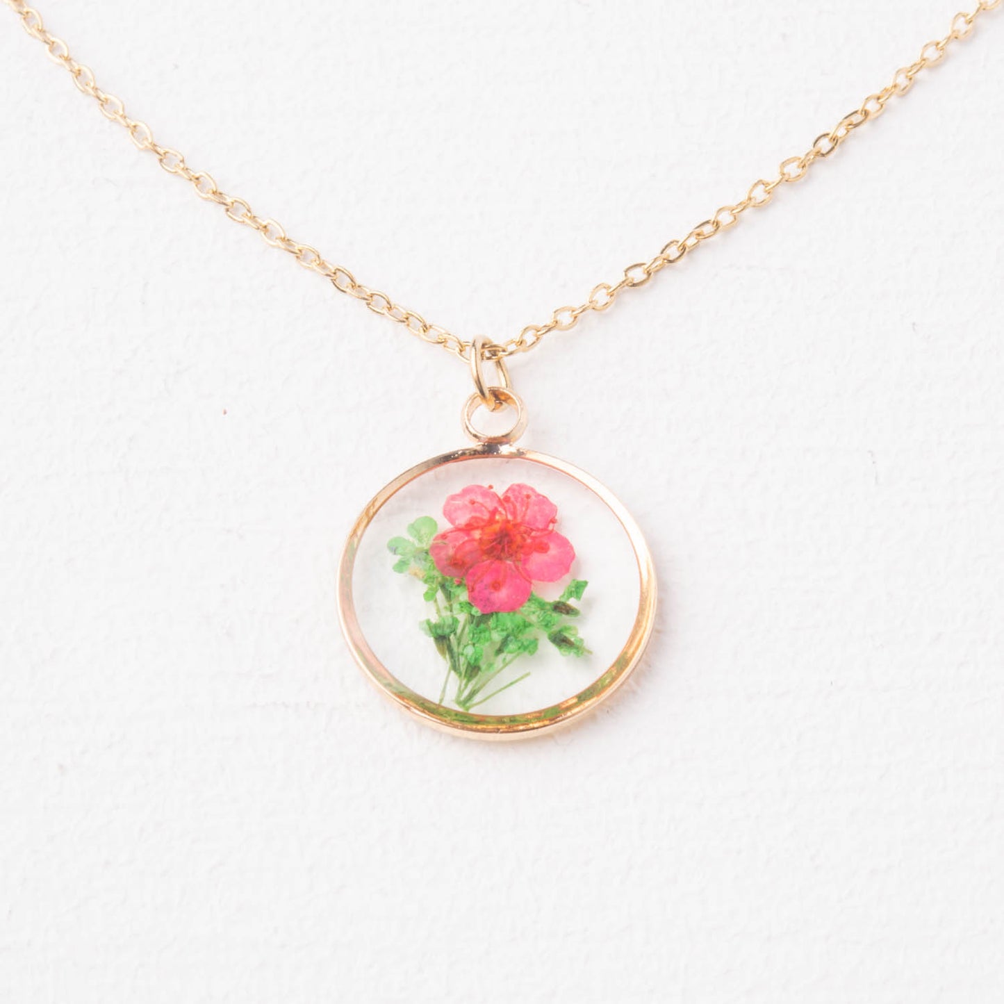 NEC-2448