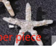 Silver small starfish pins