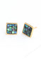 Delighted-in Earrings in Abalone