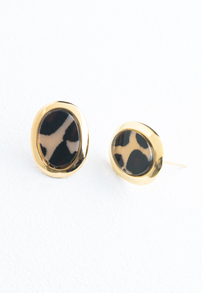 Reflection Studs in Leopard