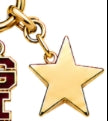 STAR CHARM