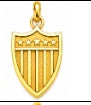 5-STAR SHIELD CHARM