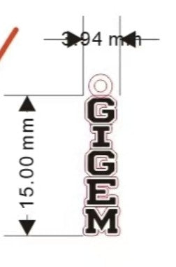 GIGEM CHARM