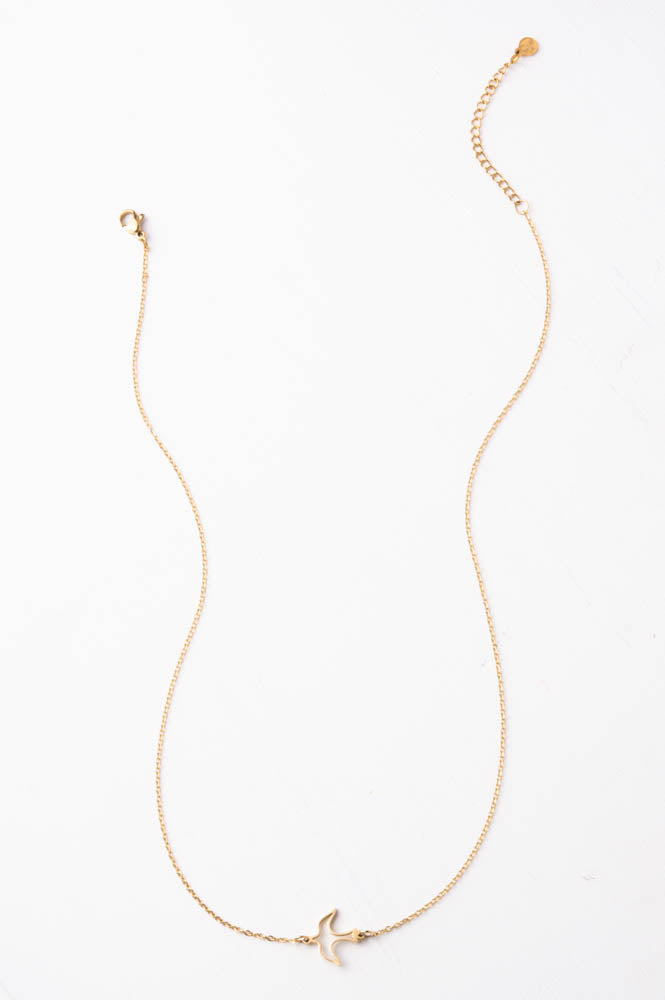 226-209g-Establishing lndependence Necklace