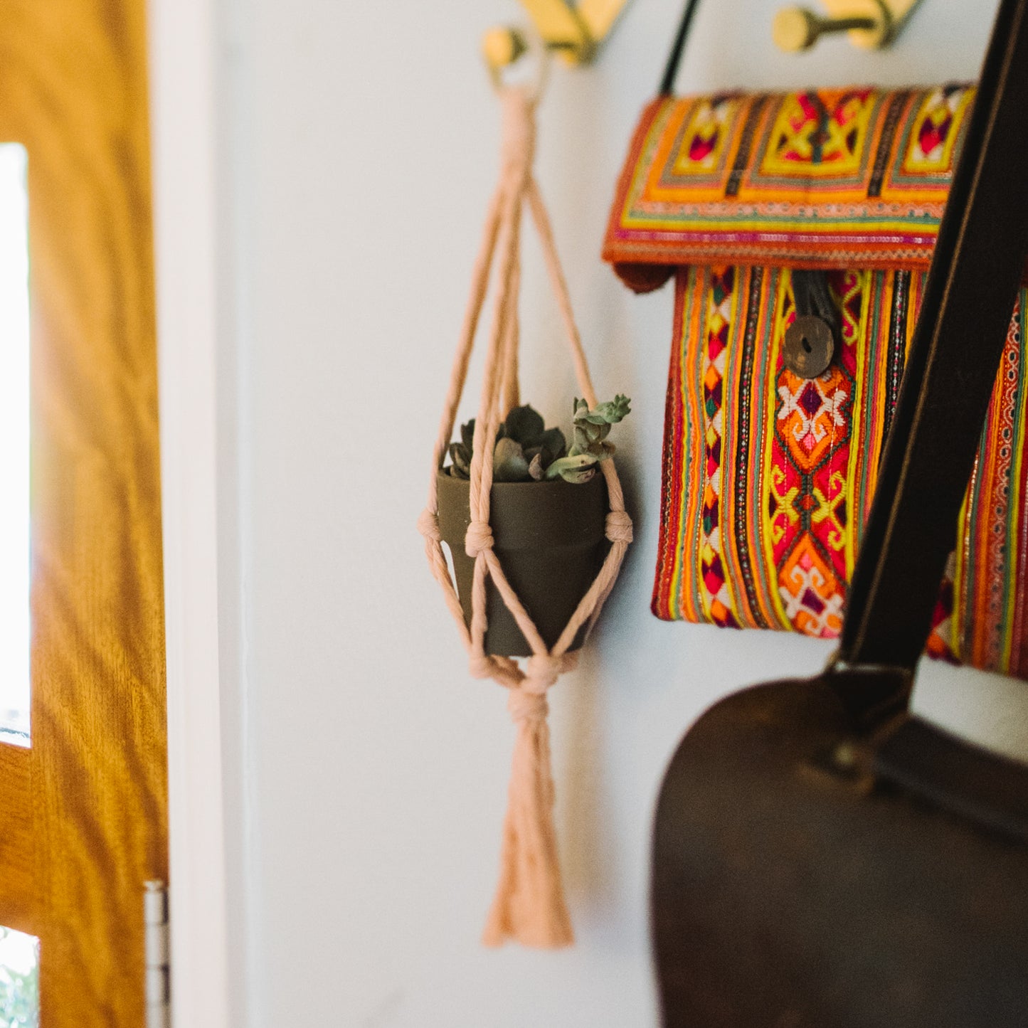 Flourish Plant Hanger Blush