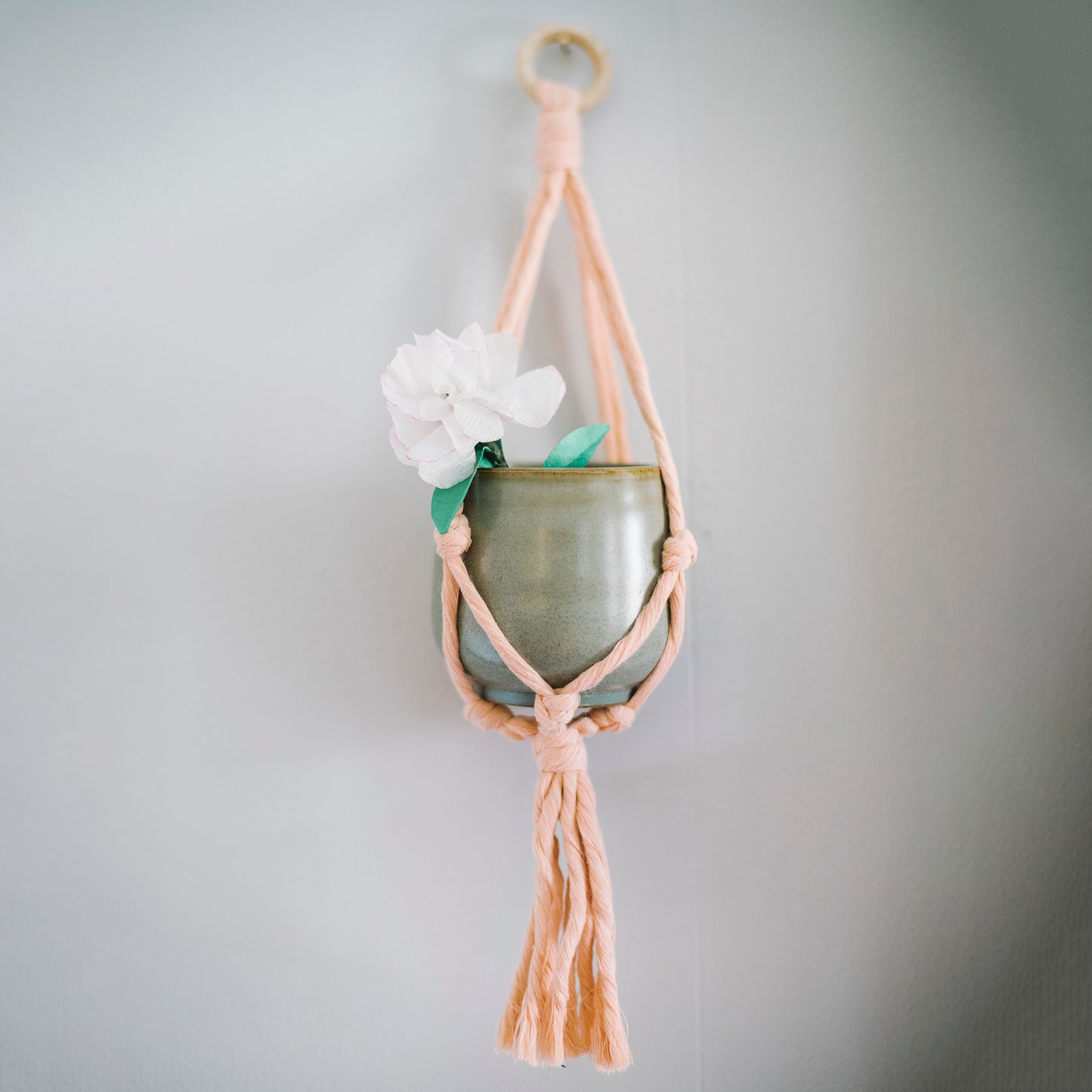 Flourish Plant Hanger Blush