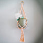 Flourish Plant Hanger Blush
