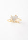 Shine Ring in Dusk