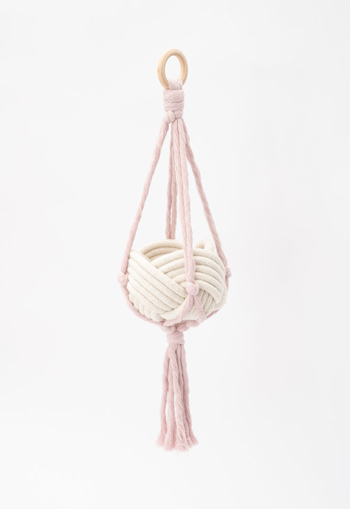 Flourish Plant Hanger Blush