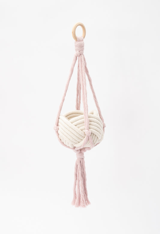 Flourish Plant Hanger Blush