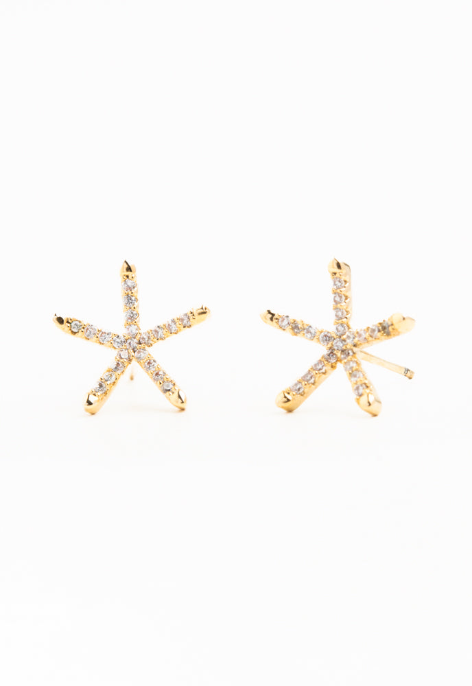 ERG-3272