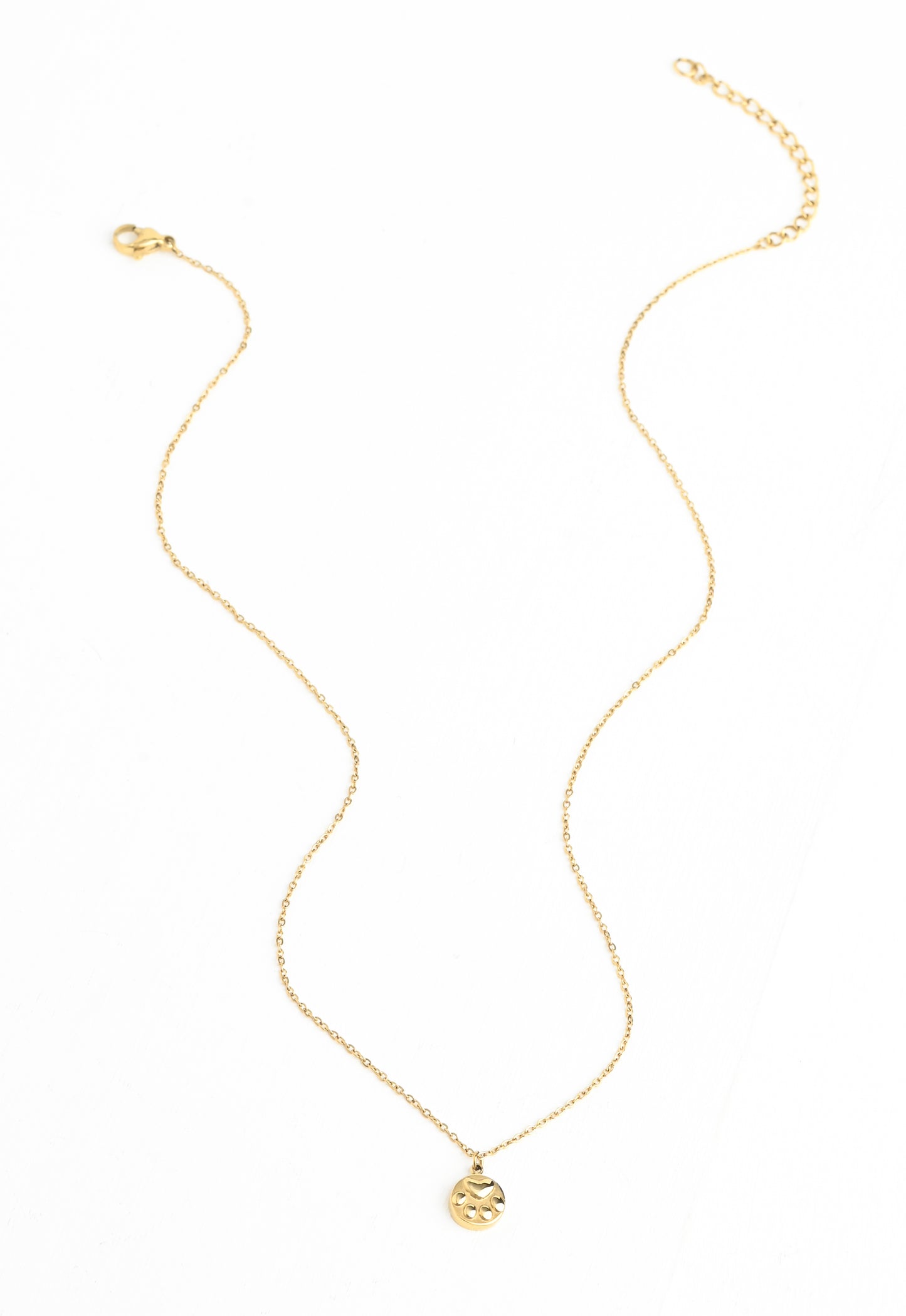 Girl’s Best Friend Paw Print Necklace