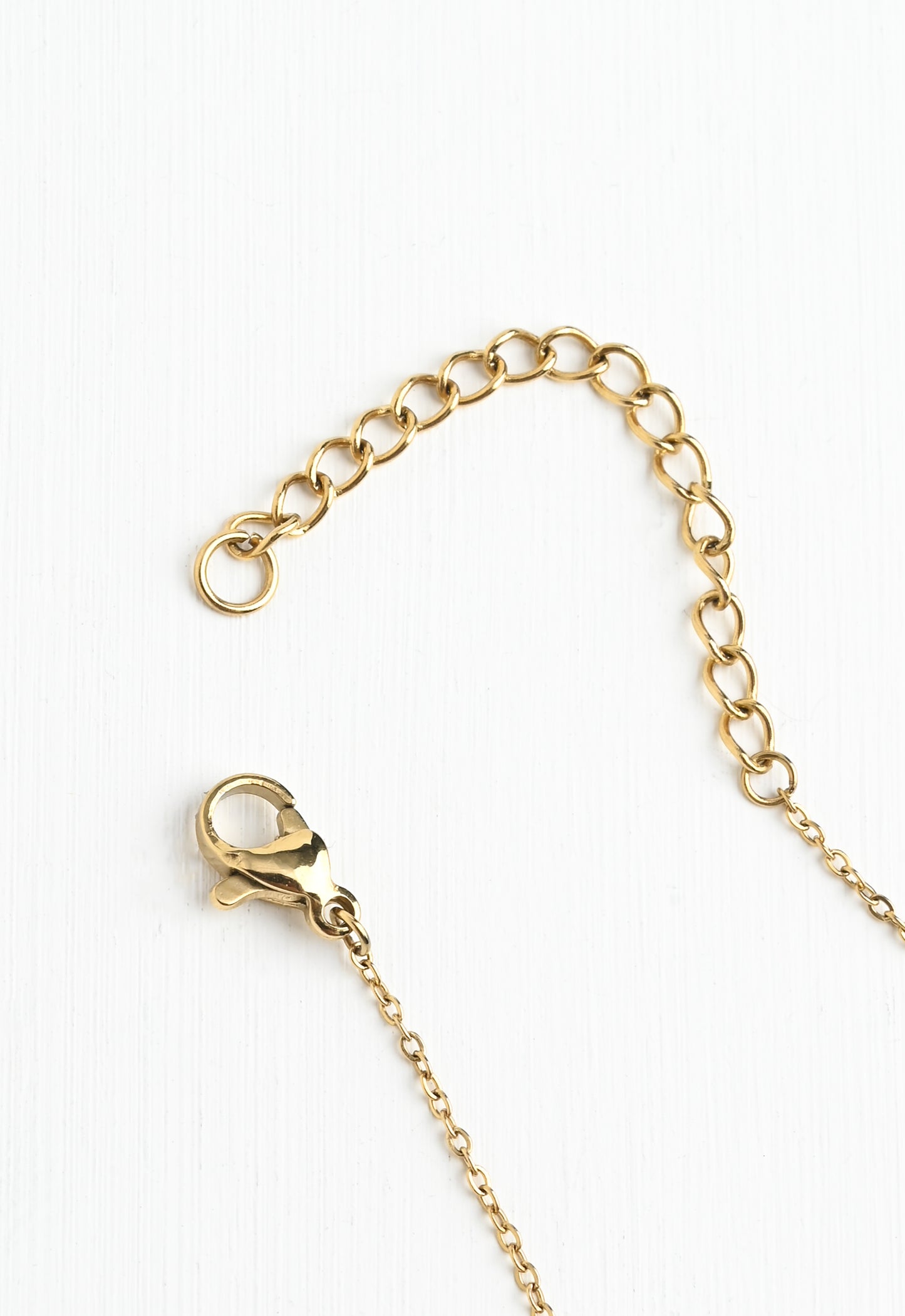 Girl’s Best Friend Paw Print Necklace