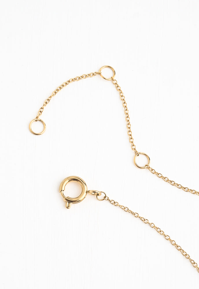 Longhorn Necklace on Curb Chain