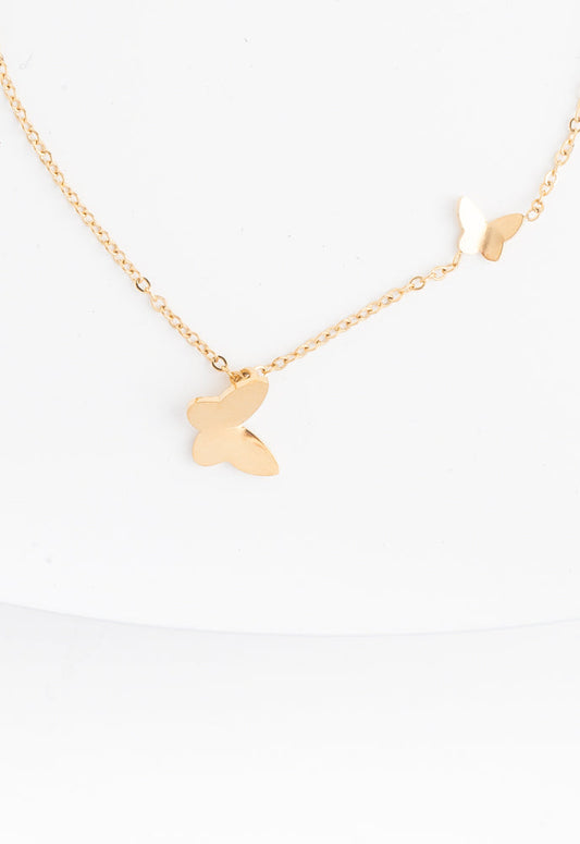 226-269g