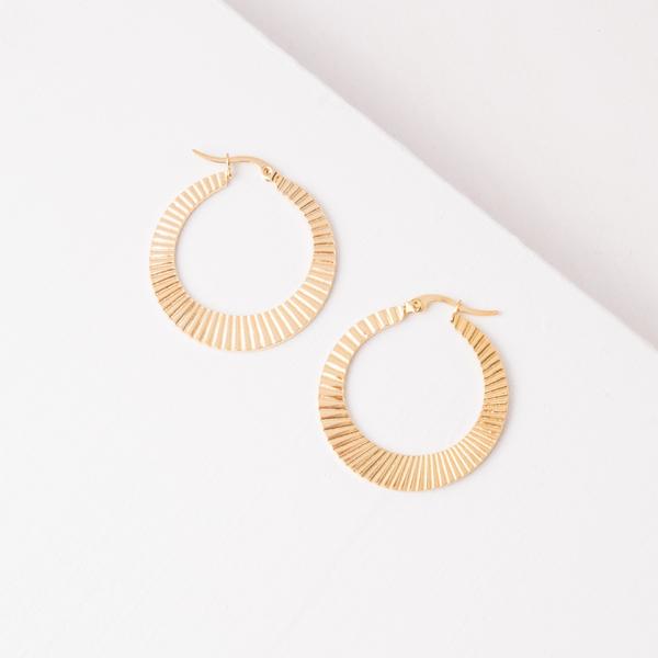 ERG-020g