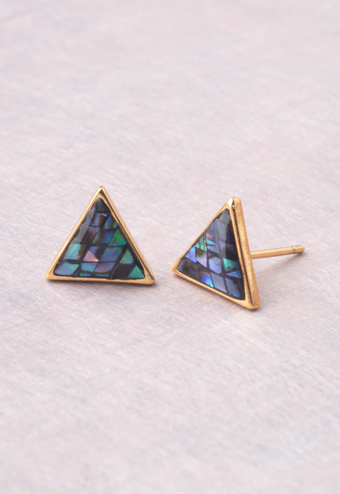 Known Earrings in Abalone