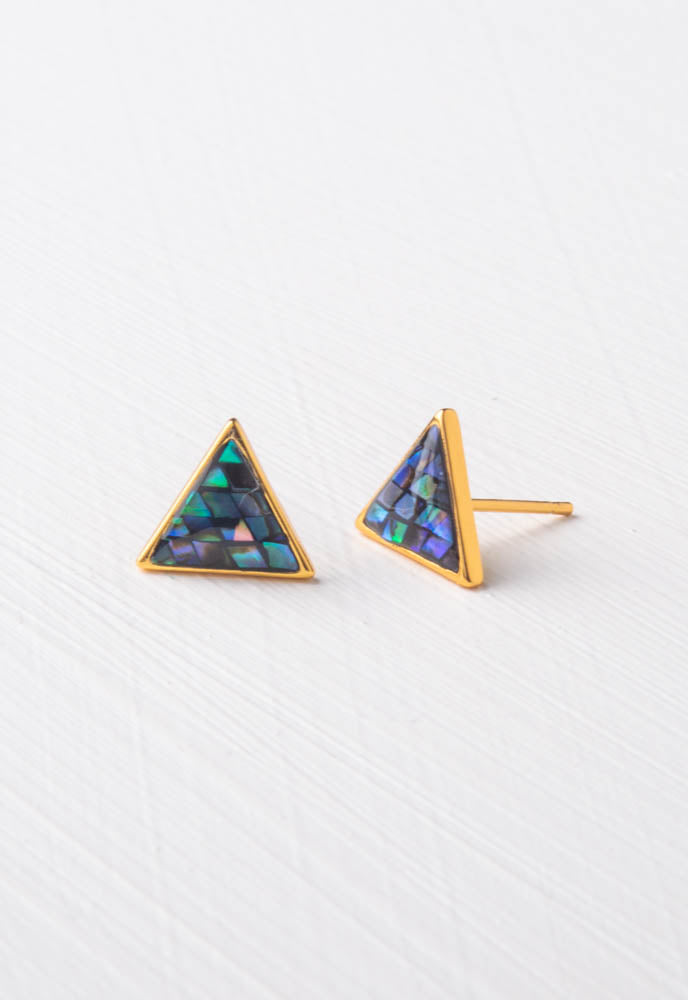 Known Earrings in Abalone