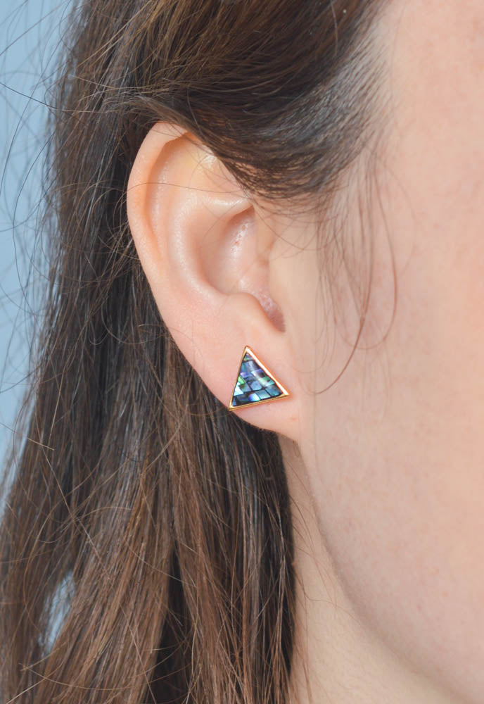 Known Earrings in Abalone