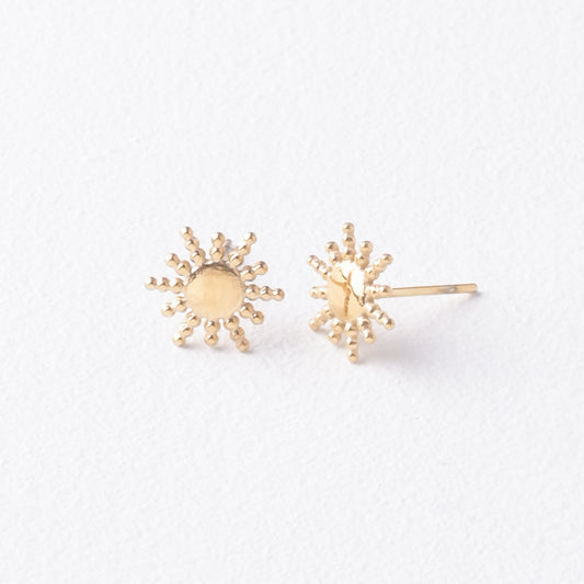 ERG-2725