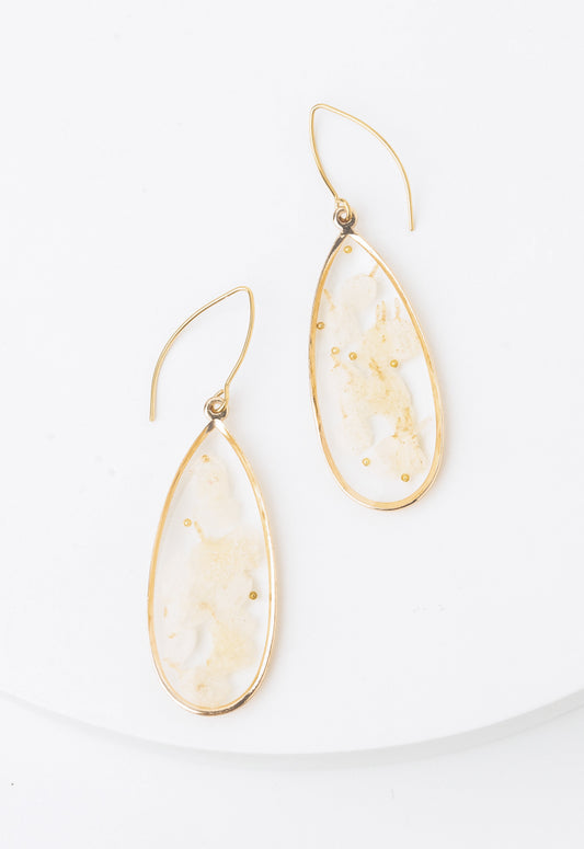 ERG-2616