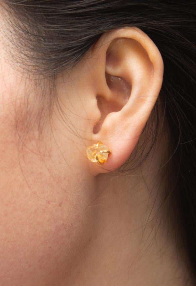 Shine Earrings in Dawn